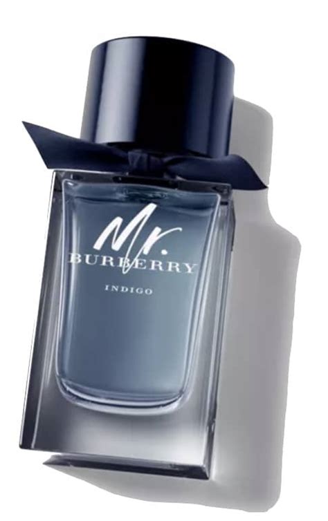 8 Best Burberry Colognes for Men 2025 | FashionBeans