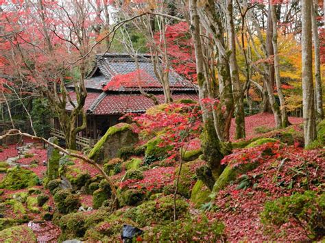 他人を理解すること のほほん心遊記：言葉と写真で人生を編む