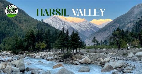 Best Time to Visit Harsil valley- Complete guide & itinerary - Enlivetrips