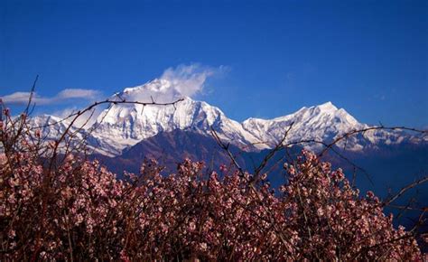 Days Annapurna Base Camp Trek Outdoor Himalayan Treks