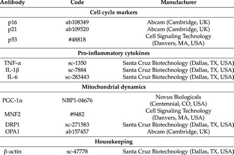 Primary antibodies for Western blot analysis. | Download Scientific Diagram