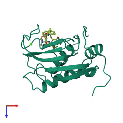 Pdb Cgl Gallery Protein Data Bank In Europe Pdbe Embl Ebi