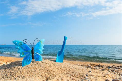 Blue butterfly at beach stock image. Image of coast - 101534353