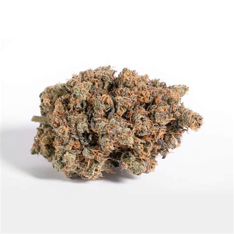 Black Cherry Garlic Strain — Winewood Organics