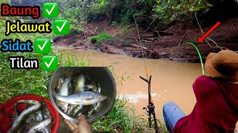 Memuaskan Mancing Ikan Baung Jelawat Sidat Tilan Hasilnya