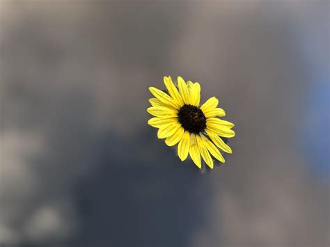 1769 best Portrait Mode images on Pholder | Aww, I Phoneography and
