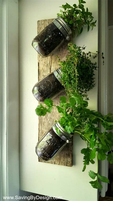 How to Make an Indoor Wall Herb Garden to Enjoy Fresh Herbs Year Round ...