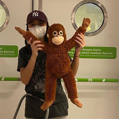 Jual Boneka Monkey Ikea Boneka Orang Utan Boneka Monyet Bahan Halus Sni