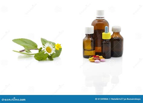 Herbal Therapy Stock Photo Image Of Health Mint Medicine 61349866