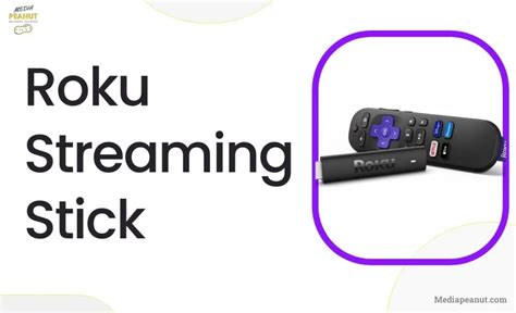 7 Best Roku Streaming Devices For Every Budget 2024