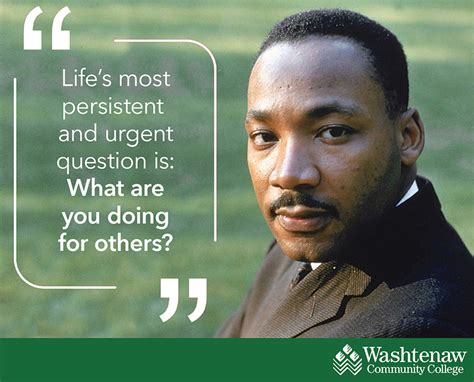 Mlk Quote Life'S Most Urgent Question - Dena Morena