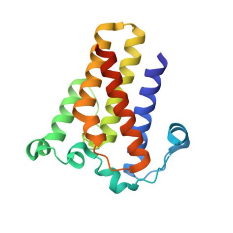 RCSB PDB 2Y6Y Crystal Structure Of TtrD From Archaeoglobus Fulgidus