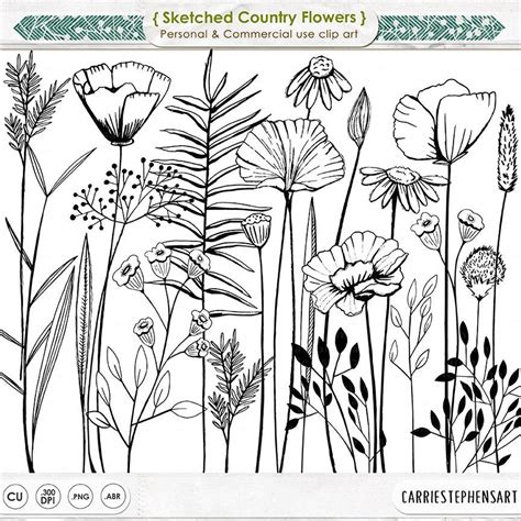 Long Stem Flower Line Art Sketched Printable Digital Stamp Etsy