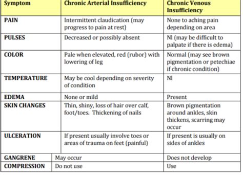 Med Surg Exam 1 Peripheral Vascular Dz Flashcards Quizlet