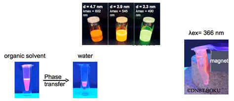 Quantum Dot synthesis::Institute of Synthetic Bioarchitectures ...