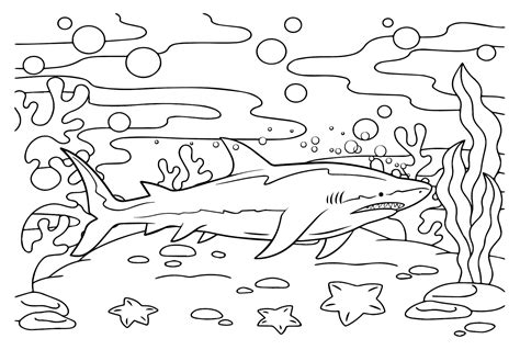 Great White Shark Free Printable Coloring Page - Free Printable ...