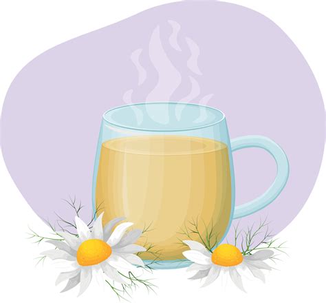 A Cup Of Tea Transparent Cup With A Hot Drink Medicinal Decoction Of Chamomile Tea Cup With