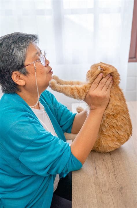 Asian Senior Woman Enjoy To Play With Cat By The Cat Use Foreleg To