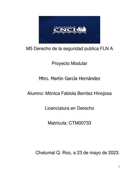 Proyecto Modular De Derecho De Seguridad P Blica M Derecho De La