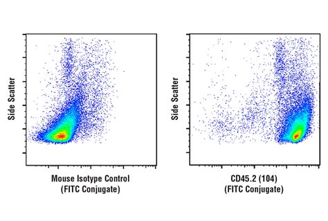 CD45 2 104 Mouse MAb FITC Conjugate Cell Signaling Technology