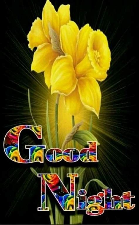 A Yellow Flower With The Words Good Night Written In Rainbow Letters On