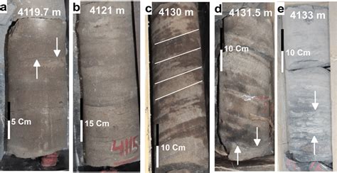 Sedimentary Structures Of The Core Samples A Stylolite Formation In