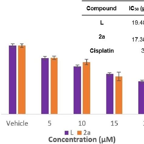 The Percentage Cell Viability As Measured By Mtt Assays In Mcf 7 Download Scientific Diagram