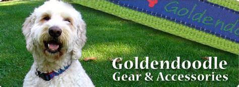 Goldendoodle Ts Goldendoodle Products Goldendoodle Gear