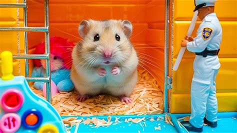 Mr Hamster Escapes The Gigantic Rainbow Balloon Maze Hamster Maze