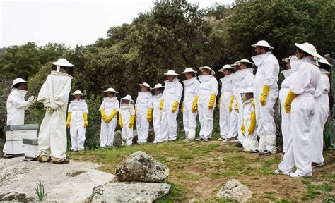 Colmenar Ocio Educativo En La Naturaleza