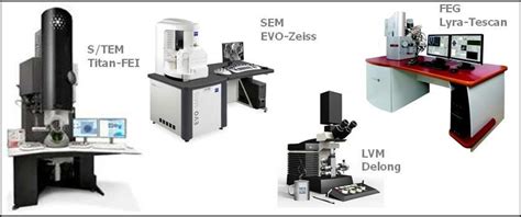 Examples of various types of electron microscopes [3] | Download ...