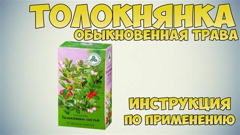 Толокнянка обыкновенная трава инструкция по применению препарата ...
