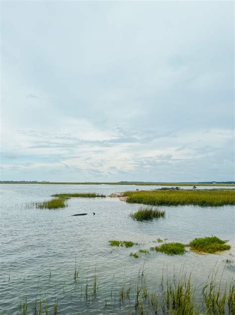 South Carolina- Pawleys island | Dreamy landscapes, Coastal south carolina, North carolina lakes