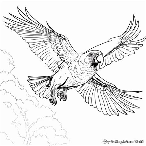 Scarlet Macaw Coloring Pages Free And Printable