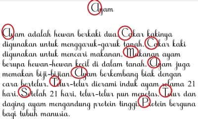 Kesimpulan Huruf Kapital Digunakan Pada Tema 6 Kelas 2 Halaman 48