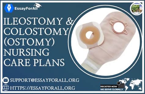 Ileostomy and Colostomy (Ostomy) Nursing Care Plans - Essay For All