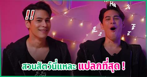 ซ ศวฒน เปดประสบการณ Sex ไมมกก แปลกทสดเกดขนในสวนสตว