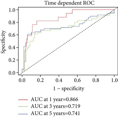 Construction And Evaluation Of The 12 Gene Risk Model In KIRC A The