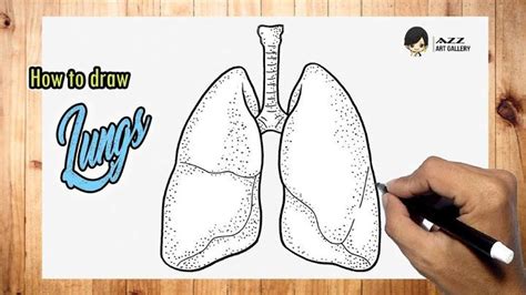 Easy Lungs Drawing Ideas How To Draw Lungs