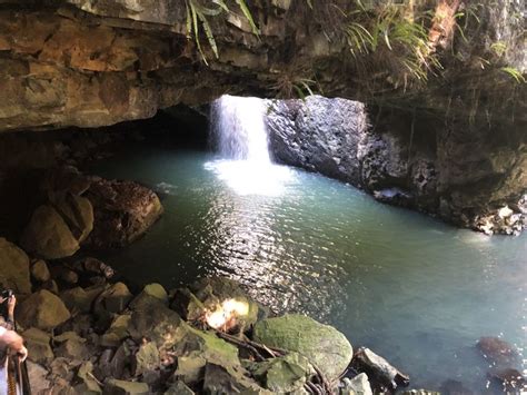 Brisbane Excursión de un día a Springbrook y la Selva Tropical del