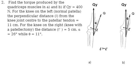 Solved 2 Find The Torque Produced By The Qy Qy Quadriceps Muscles In