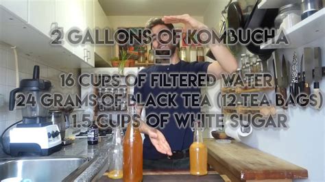 Beginners Guide To Fermentation Kombucha Making Youtube