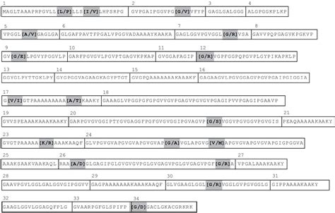 Figure 1 From Polymorphisms In The Human Tropoelastin Gene Modify In