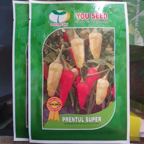 Jual Benih Cabai Rawit Domba Prentul Super 10gr Kab Cianjur UD