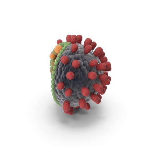 Virus Structure PNG Images & PSDs for Download | PixelSquid - S119291180