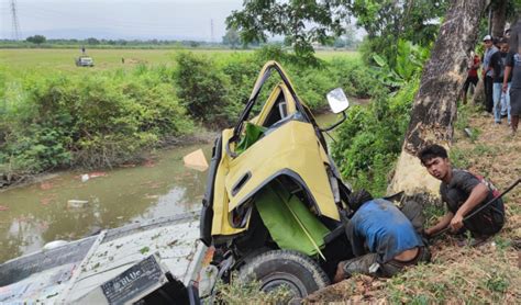 Truk Tabrak Pohon Di Tuban Sopir Tewas Terjepit Kabin Yang Ringsek