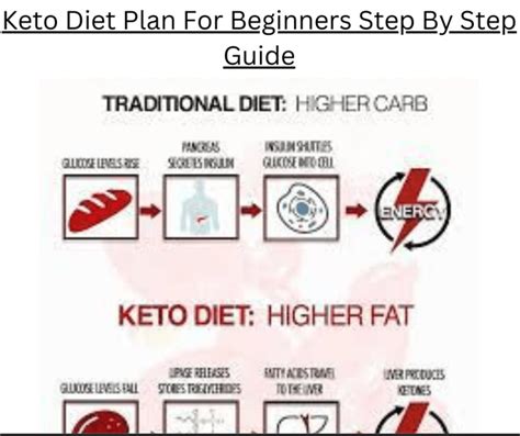 Keto Diet Plan For Beginners Step By Step Guide - KETOOX | Family Recipes