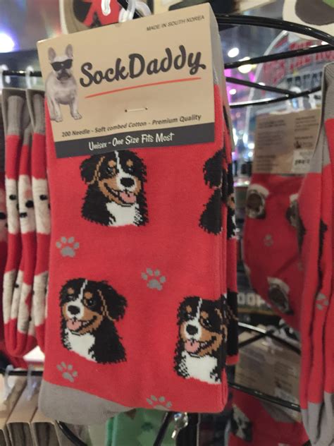 Today my workplace started selling Bernese Mountain Dog socks! : r/bernesemountaindogs