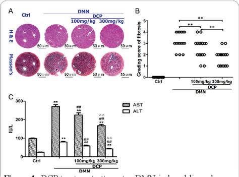 Figure From Dicliptera Chinensis Polysaccharides Target Tgf Smad