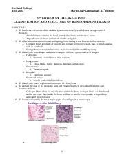 A P Lab Study Guide Overview Of The Bones Richland College Biol